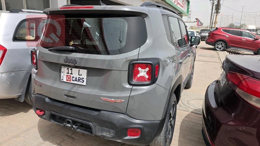 جيب رينيجيد